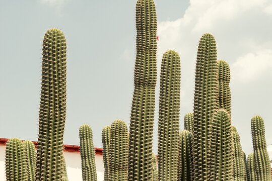 Tour image 2