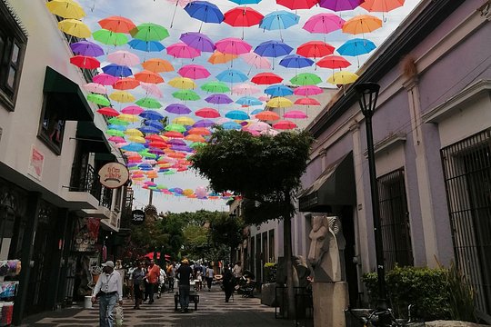 Tour image 12