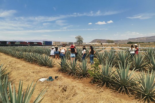 Tour image 6