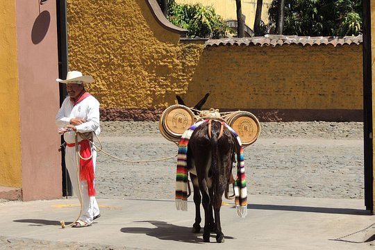 Tour image 6